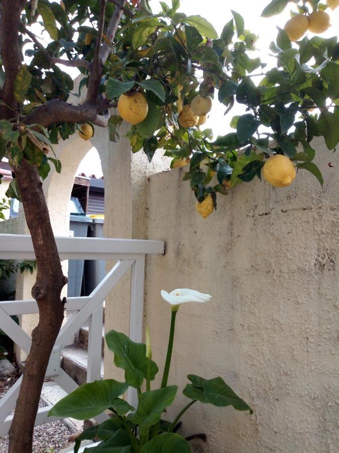 Bed and Breakfast L'Orangeraie Ельн Екстер'єр фото